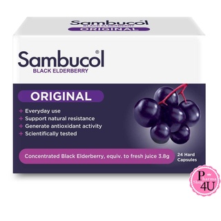 SAMBUCOL BLACK ELDERBERRY ORIGINAL 24 CAPS แซมบูคอล แบล็ค เอลเดอร์เบอร์รี เสริมภูมิคุ้มกัน ป้องกันหวัด