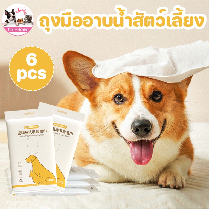 COD ถุงมือทำความสะอาดสัตว์เลี้ยง 6pcs ทิชชู่เปียกสัตว์เลี้ยง ถุงมือสัตว์เลี้ยงแบบใช้แล้วทิ้ง ถุงมืออาบน้ำแมว