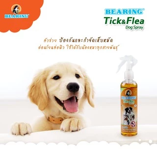 BEARING Tick & Flea Dog น้ำยากำจัดเห็บหมัด สำหรับสุนัข เห็นผลรวดเร็ว 250ml