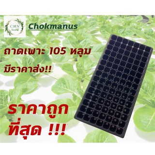 ถาดเพาะ 105 หลุม แผงเพาะต้นกล้า ความหนา 1.0 mm