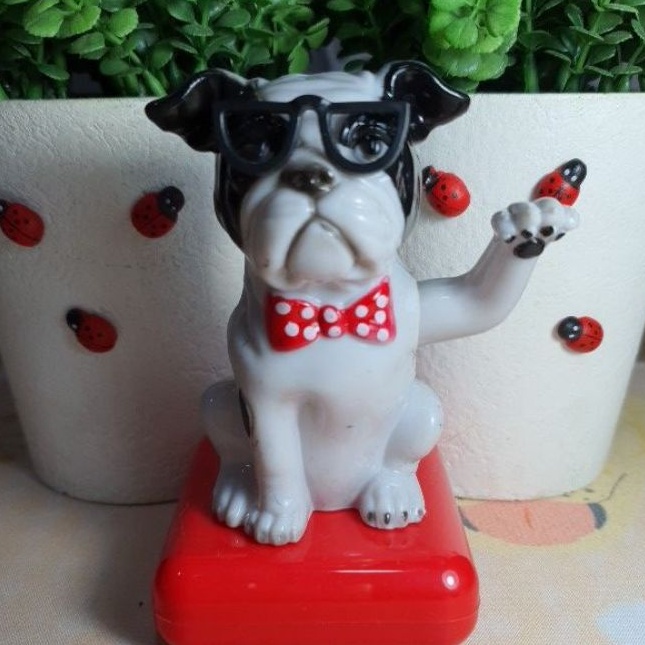*ชิ้นสุดท้าย - Solar Lucky Dog