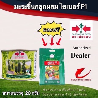 เมล็ดพันธุ์ มะระขี้นกไซเบอร์ 20g แถมกูซิก้าจีซองเล็ก