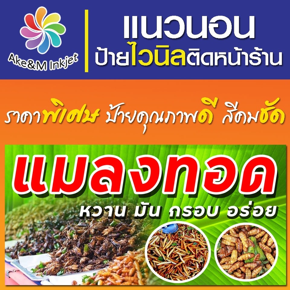 ป้ายไวนิล ร้านแมลงทอด แก้ไขรายละเอียดฟรีแจ้งทางแชท