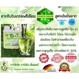 สารจับใบเกรดพรีเมี่ยม POWER GREEN สูตรเข้มข้นมาก ประจุลบ(Anionic) เพิ่มประสิทธิภาพการดูดซึม ปุ๋ย ยา