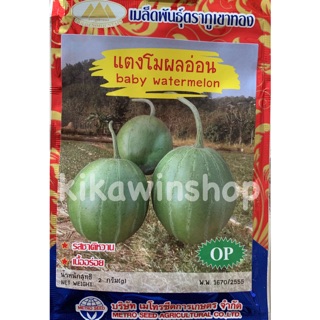 เมล็ดพันธุ์ แตงโมผลอ่อน (10 แถม 1 คละได้)