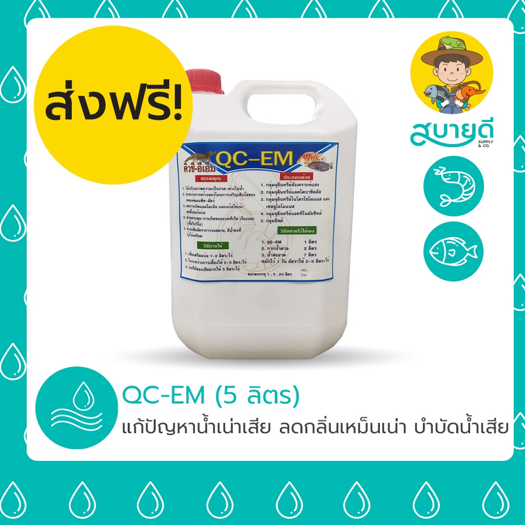 🚚ส่งฟรี🚚 EM หัวเชื้อจุลินทรีย์ QC-EM จุลินทรีย์น้ำ 5 ลิตร แก้ปัญหาน้ำเน่าเสีย ลดกลิ่นเหม็นเน่า สบายด