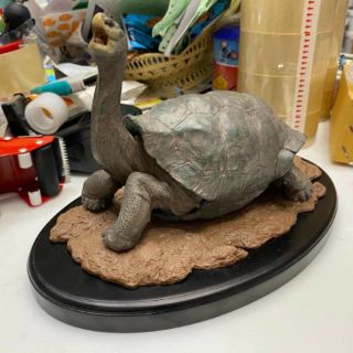 Tortoise Sculpture Lonesome George ขนาดยาว 20 ซม สูง 17ซม