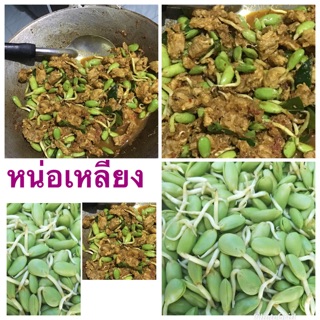 หน่อเหลียง 300 กรัม ของหรอยคนใต้ สดๆสนใจทักได้จ้า ❌จัดส่งเฉพาะกรุงเทพปริมณทล❌