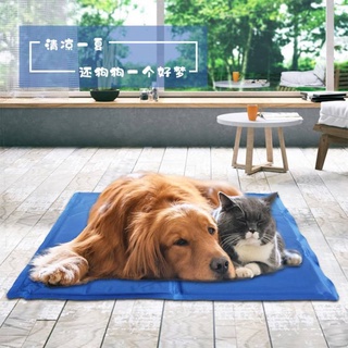 ✨New✨ Pet Cool Mat ที่นอนเจลเย็นสำหรับสัตว์เลี้ยง แผ่นเจลเย็น แผ่นระบายความร้อน #P001