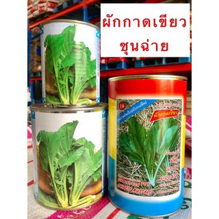 ☘️ชุนฉ่าย ☘️ผักกาดเขียวชุนฉ่าย 100 กรัม 500 กรัม 🔥ราคาถูก🔥