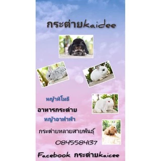 อาหารกระต่าย 203 แบ่งขาย1kg