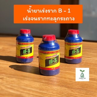 B-1 บี-วัน ยาเร่งราก ขนาด 100 ml. น้ำยาเร่งรากสายเขียว แคคตัส ไม้ด่าง