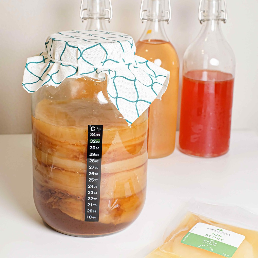 Northlandtea - Organic Jun SCOBY 200 ml - สโคบี้หัวเชื้อ พร้อมน้ำตั้งต้น ออร์แกนิคแท้  100% - รูปที่ 3