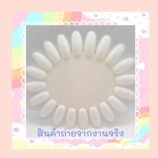 แผ่นโชว์เล็บ ทำชาต์สีเล็บ แผ่นฝึกทำเล็บ