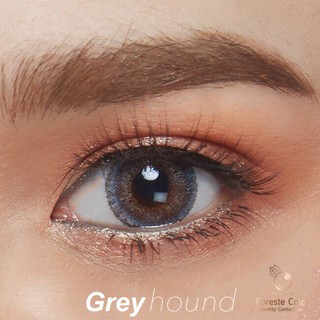 คอนแทคเลนส์สี รายเดือน Foreste สี Greyhound สีเทา