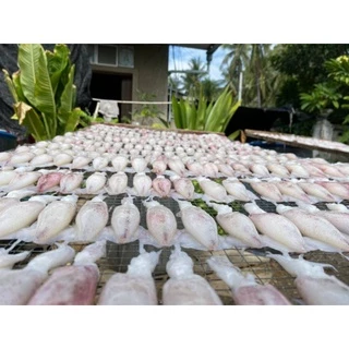 [nanworld]ปลาหมึกไข่เเดดเดียว500กรัม
