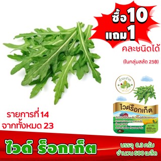 (ซื้อ10แถม1 ฟรีคู่มือ) เมล็ดพันธุ์ ไวด์ ร็อกเก็ต WILD ROCKET (0.3 กรัม 600 เมล็ด) ทำมะชาดฟาร์ม  ผักสลัด เมล็ดพันธุ์สลัด