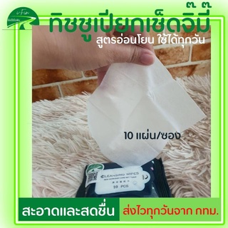 แผ่นทำความสะอาดน้องสาว Feminine Wipes Female private care wipes ทิชชูเช็ดจุดซ่อนเร้น ทิชชูเปียก ไม่มีแอลกอฮอล์และน้ำหอมน