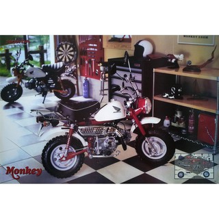 โปสเตอร์ รูปถ่าย รถมอเตอร์ไซค์ ฮอนด้า HONDA Monkey Bike POSTER 24”X35” Inch JAPANESE Mini Motorbikes V5