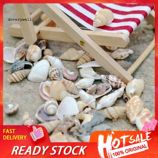 ❀ย้อมสี❀ต้นบอนไซ หอยสังข์ทะเล ขนาดเล็ก สําหรับตกแต่งภูมิทัศน์ DIY 40 ชิ้น