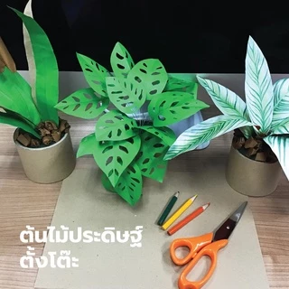Saengroong กระดาษโปสเตอร์ สี 2ด้าน 1แผ่น / (ขั้นต่ำ 5แผ่น)