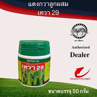 เมล็ดพันธุ์ แตงกวา โอเค30 เบอร์9