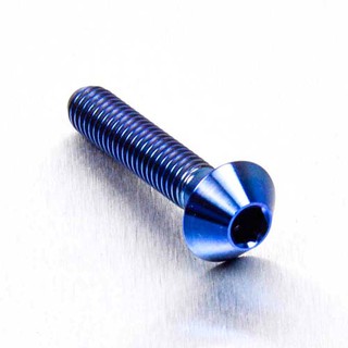 Pro-Bolt ไทเทเนี่ยม หัวโดม XS M6x16,20,30mm