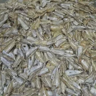 ปลาช่อนทะเล ปลานช่อนจิ๋ว เนื้อนิ่ม ไม่เค็มมาก