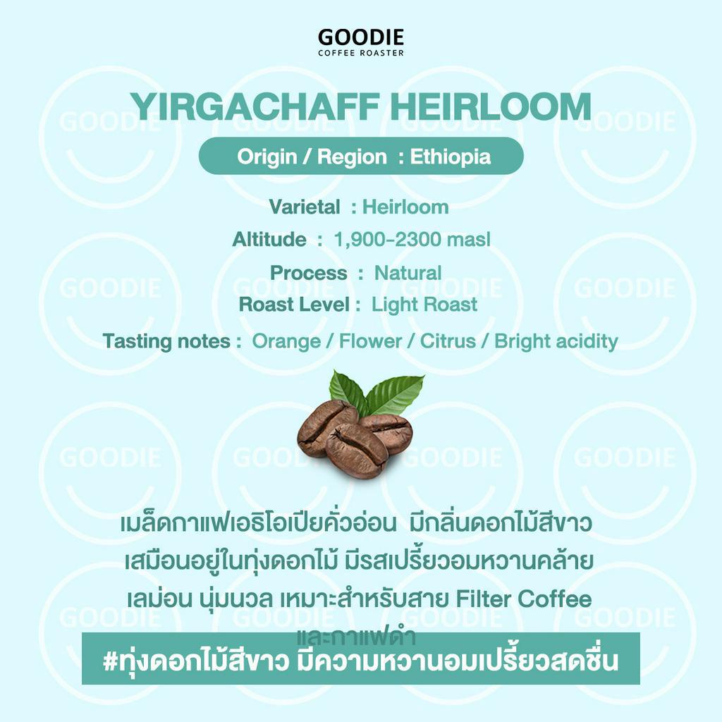 Goodie Coffee Roaster เมล็ดกาแฟ Ethiopia Yirgachaffee Heirloom
