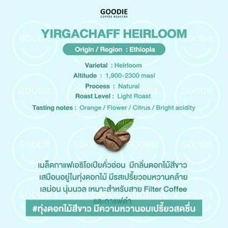 Goodie Coffee Roaster เมล็ดกาแฟ Ethiopia Yirgachaffee Heirloom