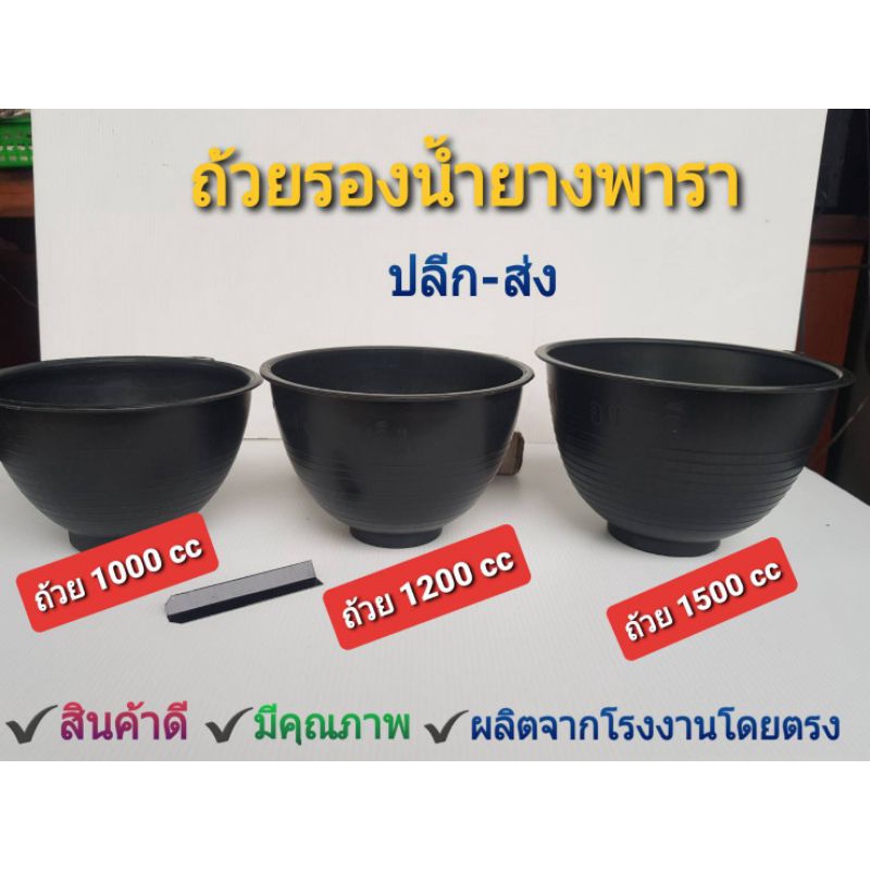 ถ้วยรองน้ำยางพาราอย่างดีขนาด 1000 ซีซี,1200 ซีซี,1500 ซีซี มีหลายสีให้เลือก และลวดรัดต้นยางพารา(แพ็คละ 100 ใบ)