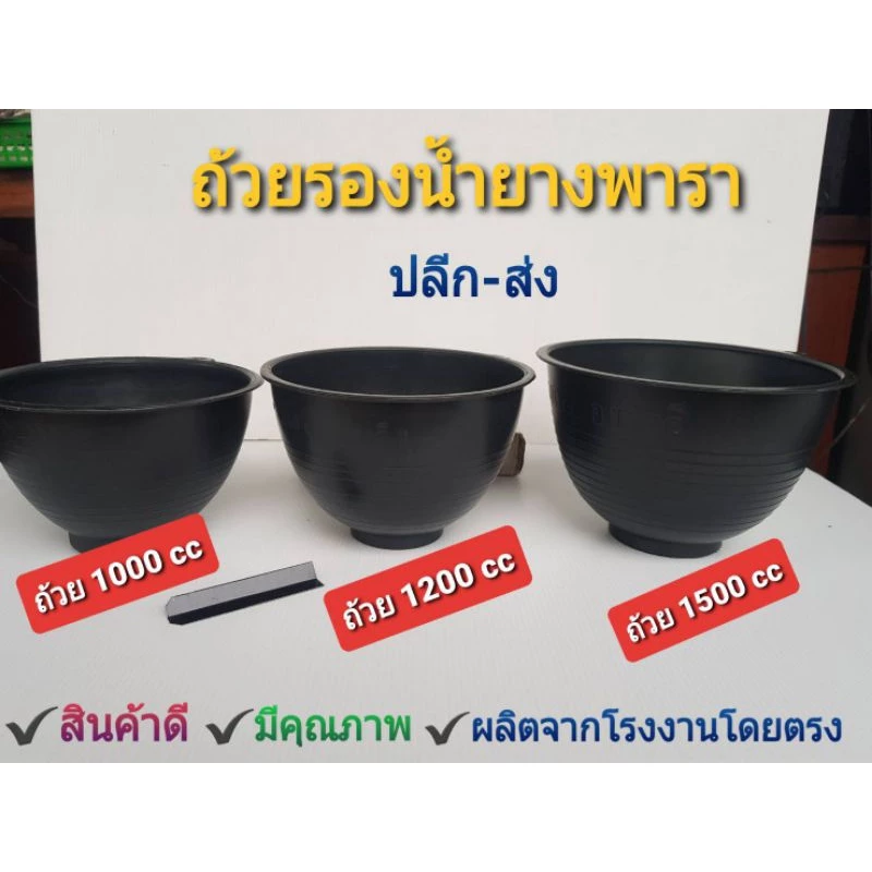 ถ้วยรองน้ำยางพาราอย่างดีขนาด 1000 ซีซี,1200 ซีซี,1500 ซีซี มีหลายสีให้เลือก และลวดรัดต้นยางพารา(แพ็คละ 100 ใบ)