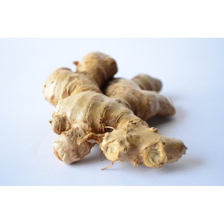 ขิงสด ๆ ขิงแก่ ส่งตรงจากสวน (Ginger)