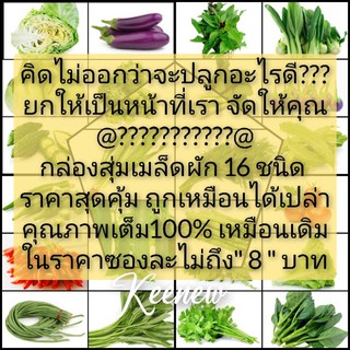 เมล็ดผัดราคาสุดคุ้ม สุ่มจัดส่ง16ชนิด หากคิดไม่ออกว่าจะปลูกอะไร ขอให้เป็นหน้าที่เราจัดให้ท่าน