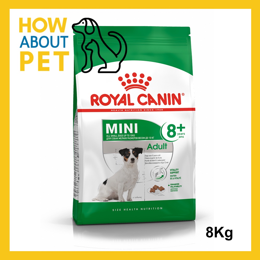 อาหารสุนัขเล็ก Royal Canin Adult Mini 8+ อาหารสุนัขแก่ พันธุ์เล็ก 8กก. (1ถุง) Royal Canin Mini Adult