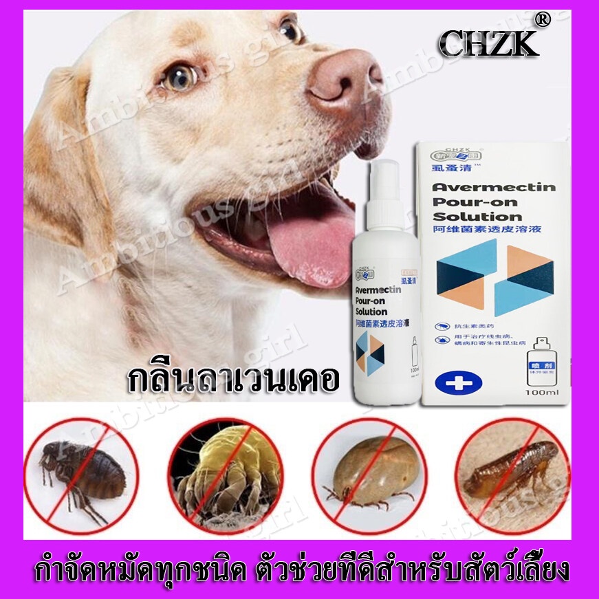 ∈CHZK Pet Flea Spray ยาแก้เห็บหมัด (สเปรย์กำจัดเห็บหมัด สเปรย์กำจัดเห็บหมัดสุนัข เห็บ หมัด หมา กำจัดเห็บและหมัด กำจัดเห็