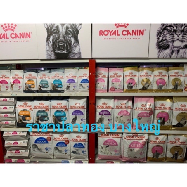 royal canin รอยัลคานิน แบบแบ่งบรรจุ ใหม่ๆ หอมๆมาแล้วค่ะ แบบถุงใส แบ่งขาย ขนาดถุง 500กรัม