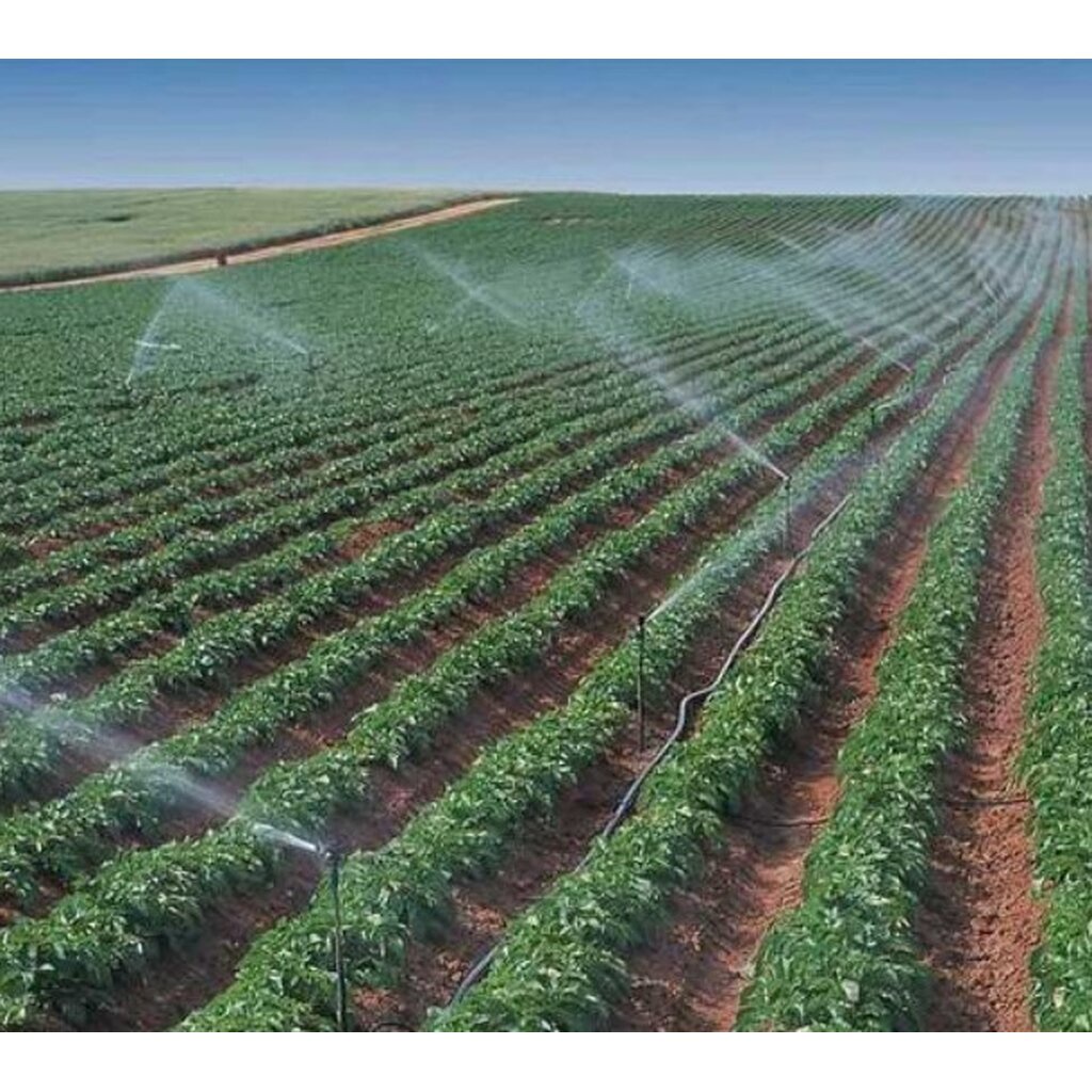 หัวสปริงเกอร์ แบบตีน้ำ ฉีดน้ำระยะไกล CS100 Adj เกลียวใน 1 นิ้ว ปรับมุมซ้ายขวา หมุนรอบได้ - รูปที่ 7