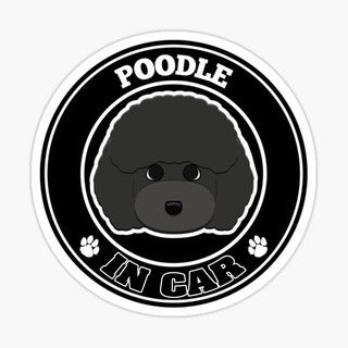 สติ๊กเกอร์ติดรถ แต่งรถ สติ๊กเกอร์ แม่เหล็กติดรถยนตร์ สติ๊กเกอร์หมา Poodle in Car  - DGC4