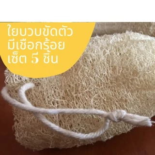 ☘️ใยบวบร้อยเชือก เซ็ต 5 ชิ้น สุดคุ้ม!!☘️ ใยบวบขัดตัว ใยบวบธรรมชาติ