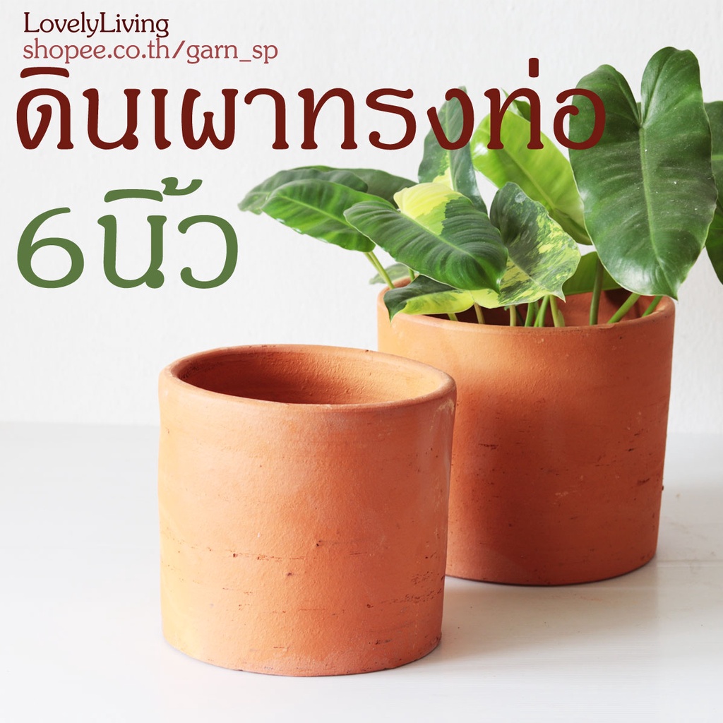 กระถางดินเผาทรงท่อเรียบ 6 นิ้ว กระถางดินเผา 6 นิ้ว กระถางดินเผาหกนิ้ว ดินเผาหกนิ้ว ดินเผา6นิ้ว Terra