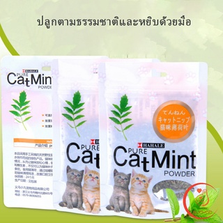 ของแท้ 100% โรยของเล่นแมว ผงแคทนิป &amp; ผงมาทาทาบิ ซองซิบ "พลาสติก"   5g (พร้อมส่ง) Catnip