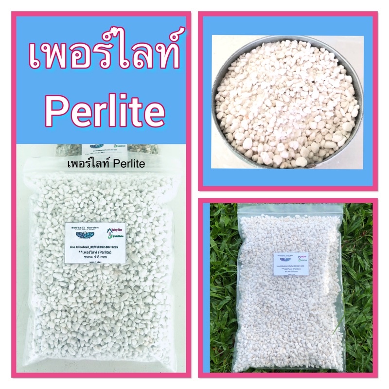 เพอร์ไลท์ (Perlite) สำหรับผสมดินปลูก
