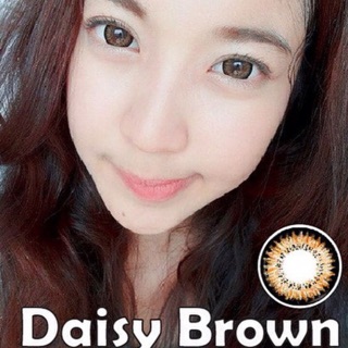 Daisy Brown/Gray