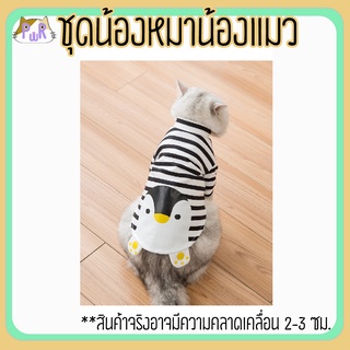 เสื้อหมา เสื้อแมว ชุดสัตว์เลี้ยง pet costume