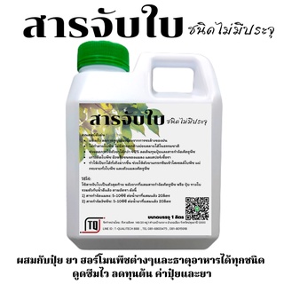 สารจับใบ สารจับใบสำหรับชีวภัณฑ์ สารจับใบชนิดไม่มีประจุ สูตรเข้มข้น ขนาด 1 ลิตร