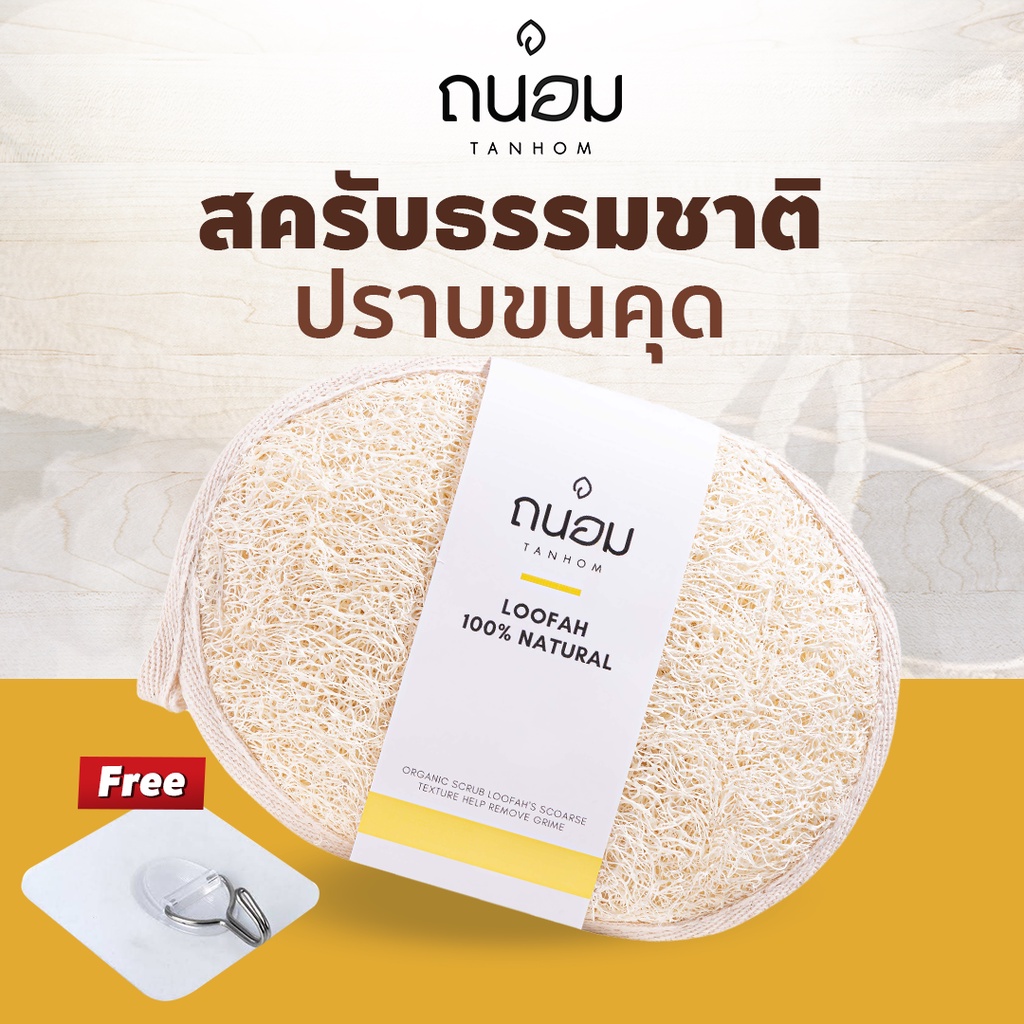 ใยบวบขัดตัว ใยบวบ ใยบวบขัดผิว ใยบวบขัดหลัง ใยขัดตัว ใยขัดตัวอาบน้ำ ใยขัด ใยขัดหลัง รูปที่ 2