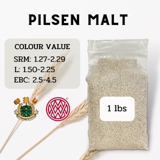 Pilsen Malt (Weyermann) (1 lbs)