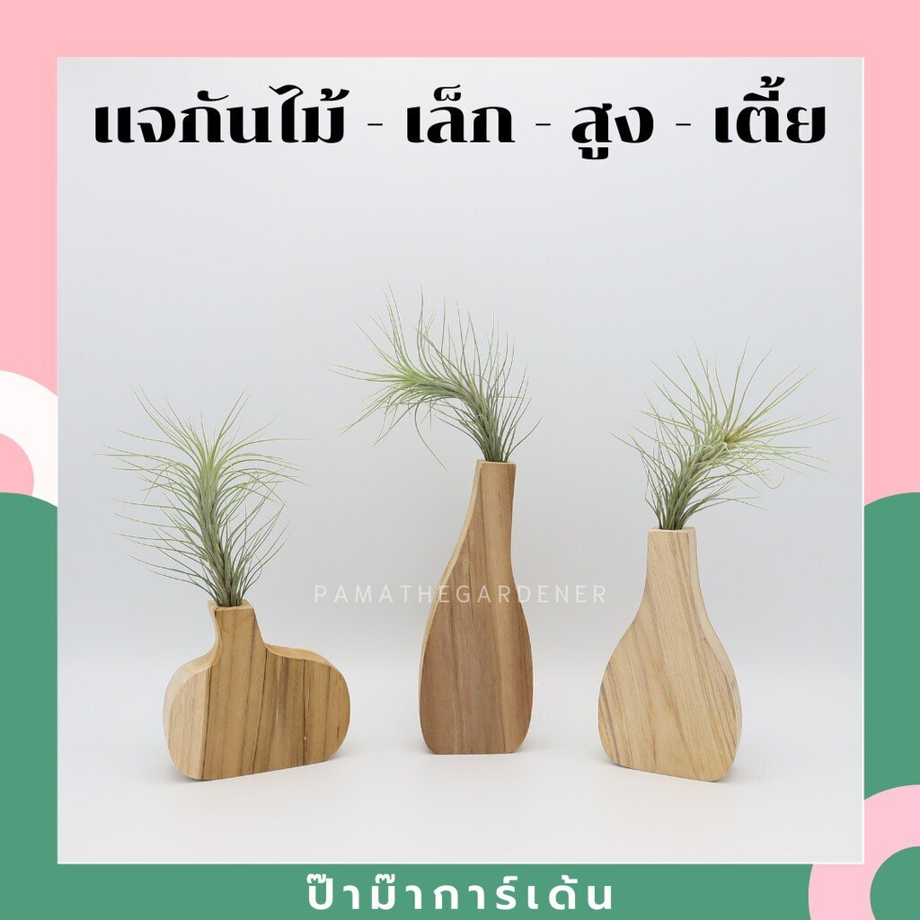 แจกันไม้ สามารถใส่ต้นไม้รากอากาศ ดอกไม้ปลอม ใส่ดอกไม้ ปากกา