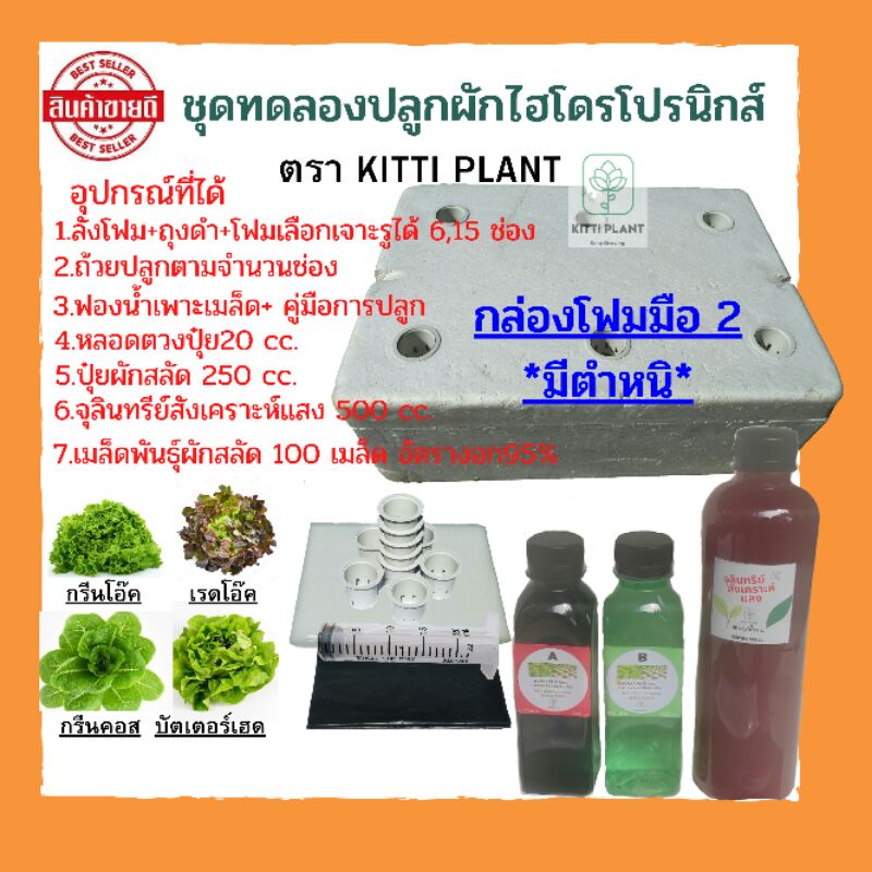 ชุดทดลองปลูกผักไฮโดรโปนิกส์ 4,6,15 ช่อง#ชุดปลูกผักสลัด#ชุดปลูกผัก#ชุดปลูกผักไฮโดรโปนิกส์#กล่องโฟมปลู